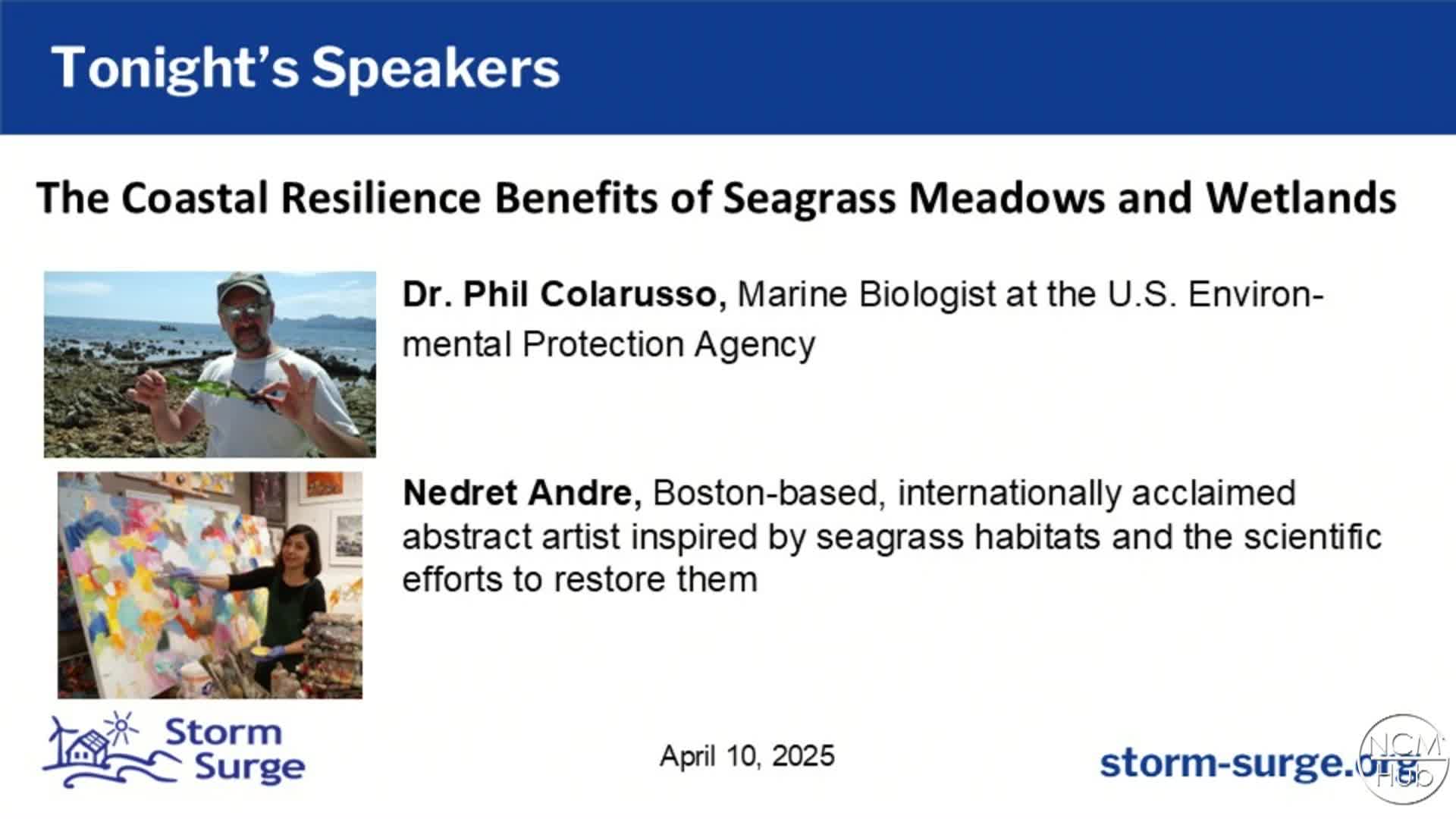 Thumbnail image for Storm Surge: The Coastal Resilience Benefits of Seagrass 04-10-2025