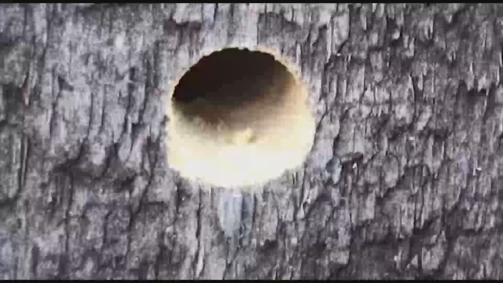 Thumbnail image for Scott Tucker's Expedition Earth Episode 132 - Outta the Fog