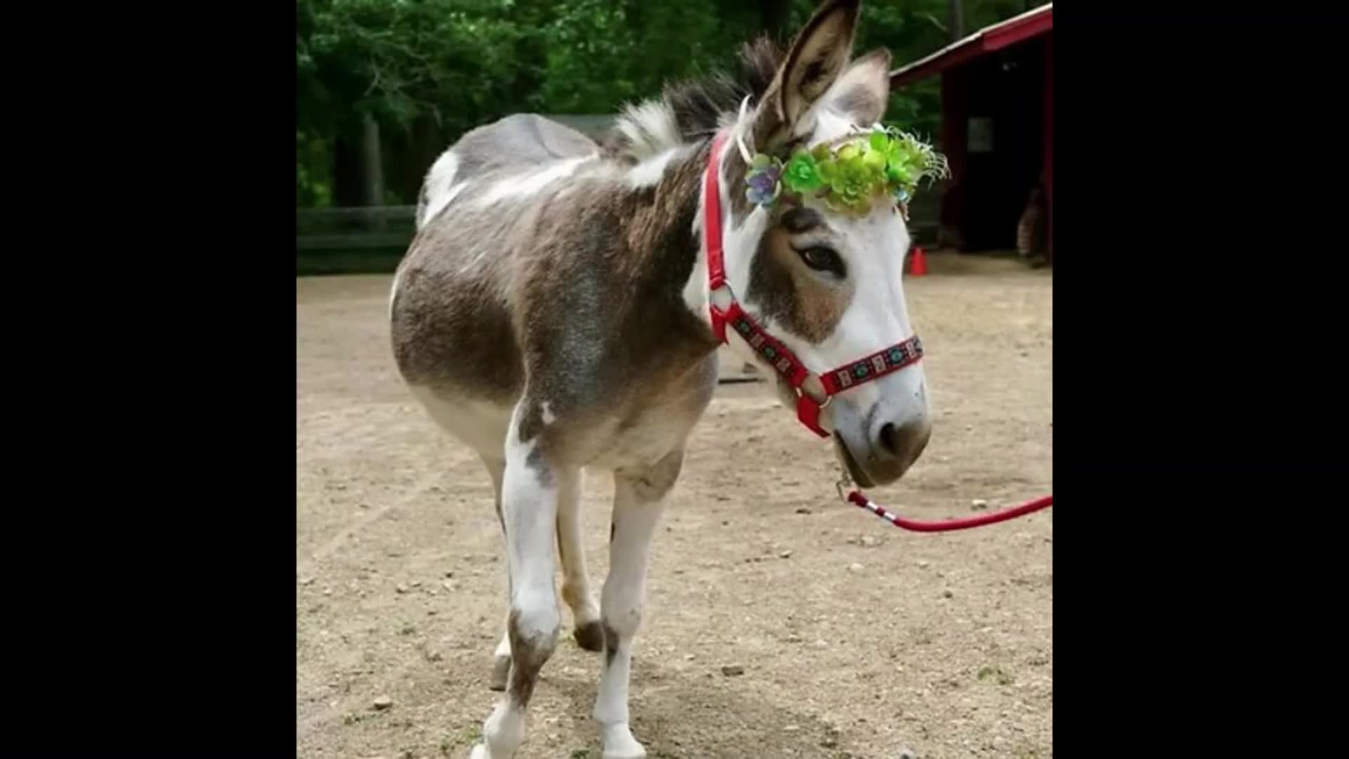 Morning Show with Mary Jacobsen on February 12th, 2026