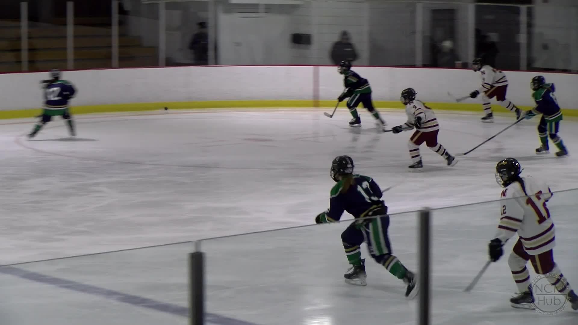 NHS Girls Hockey vs. NSA 2026-02-17