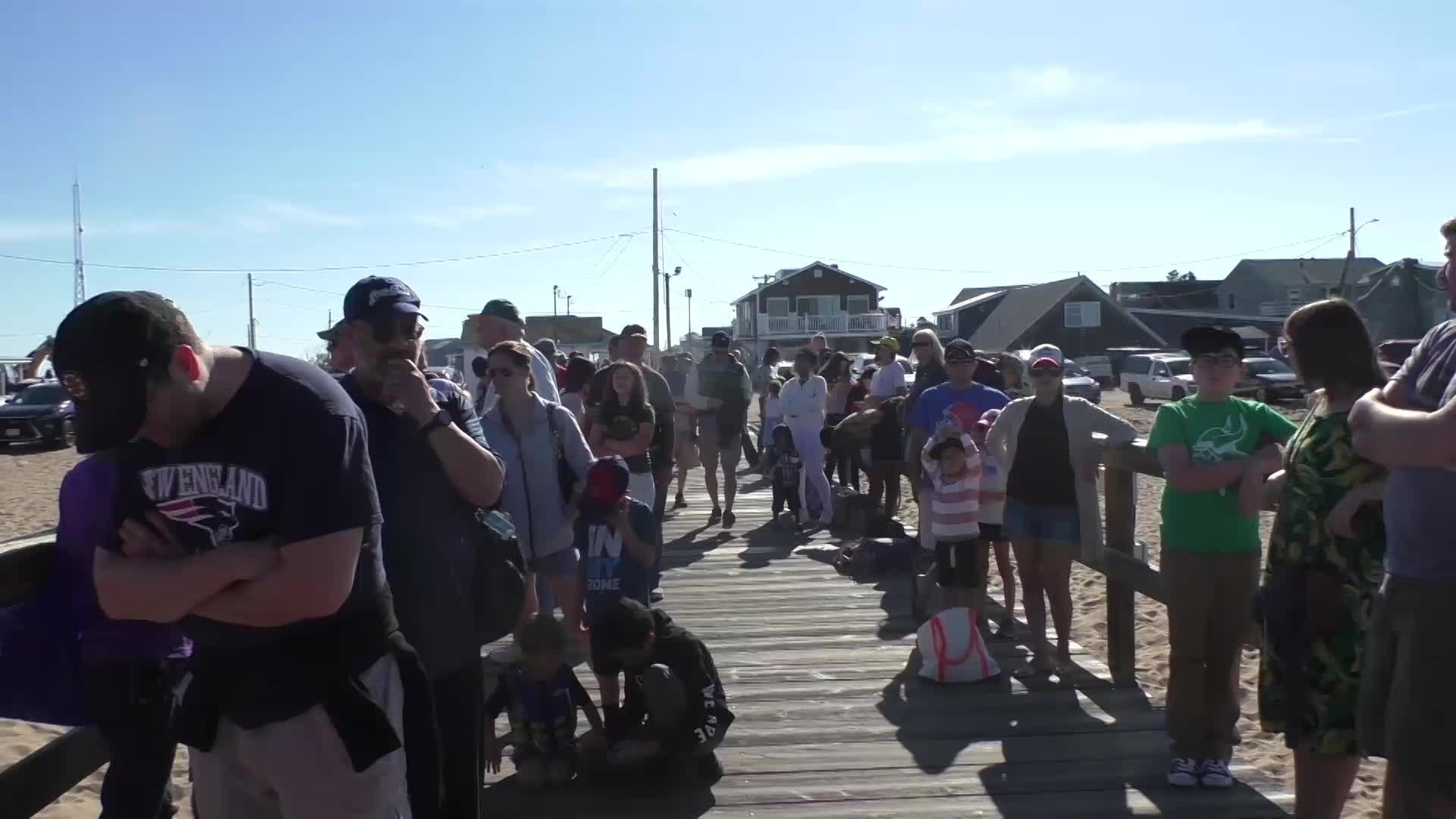 Thumbnail image for Veteran Whale Watch 2019